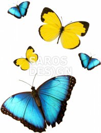 Натяжные потолки с фотопечатью Butterfly